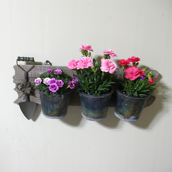 IMGP3682-1.jpg