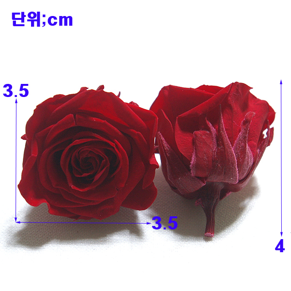 �ִϾ�15.jpg