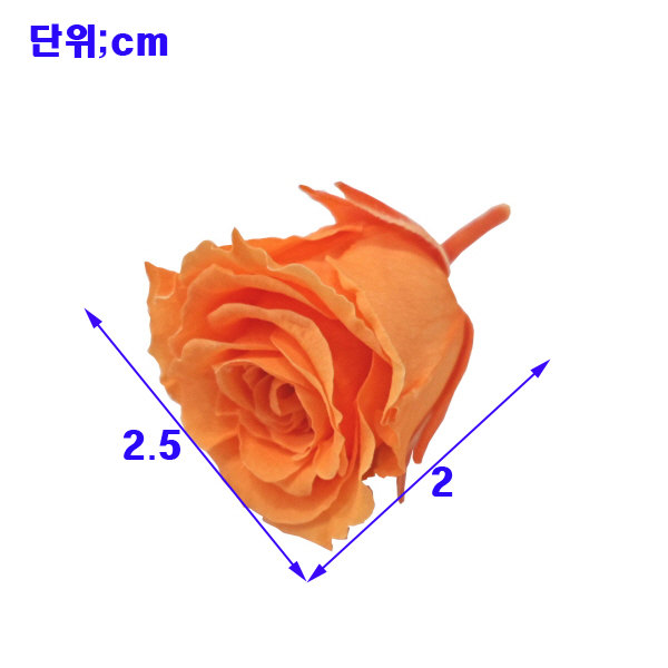 ���ݶ�.jpg