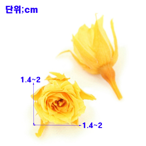 2017-08-31 12;07;55-1.jpg