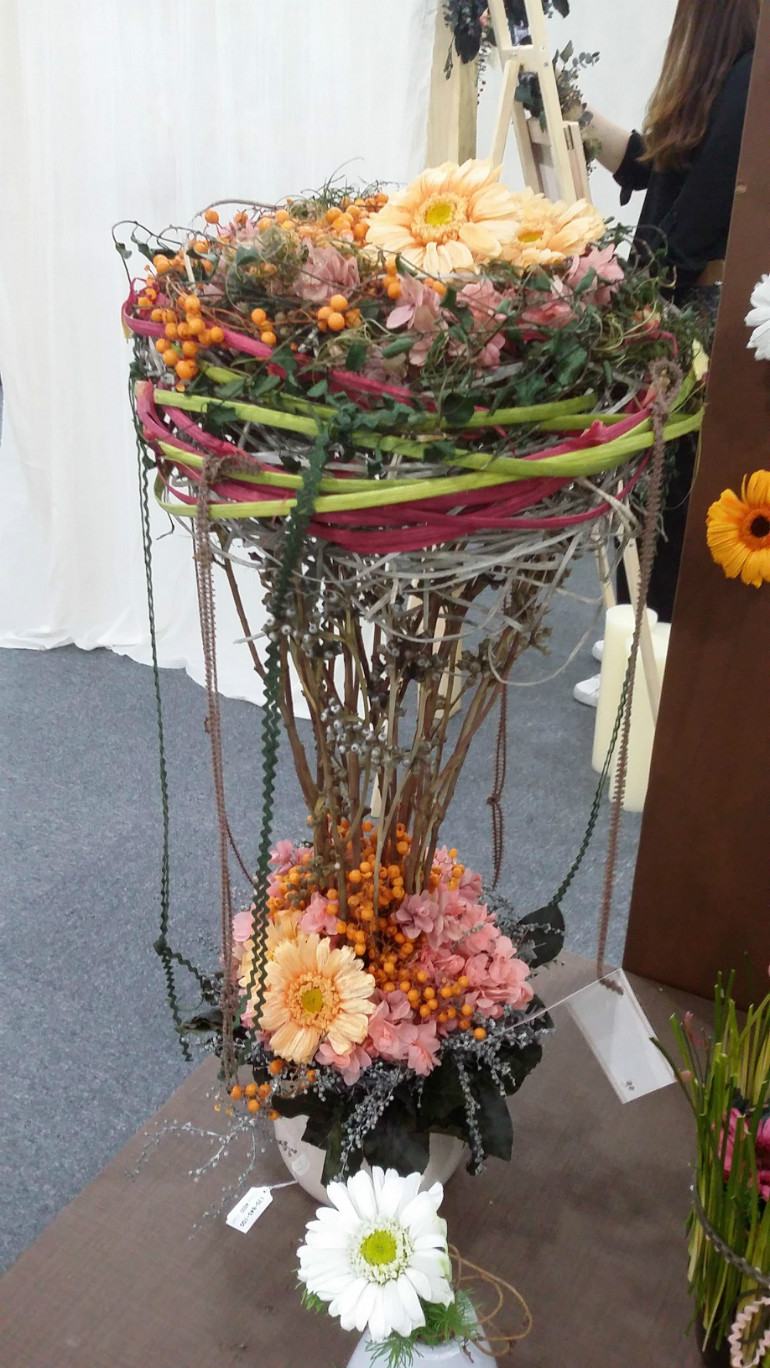 20170907_133808.jpg