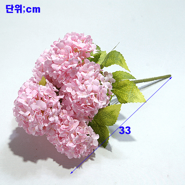 IMGP5072-11.jpg