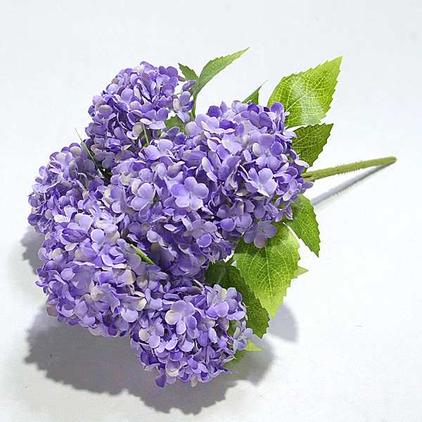 IMGP5073-1.jpg