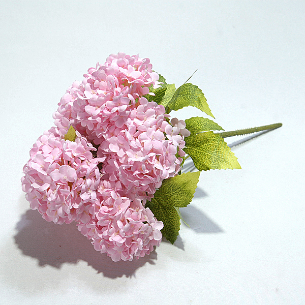 IMGP5072-1.jpg