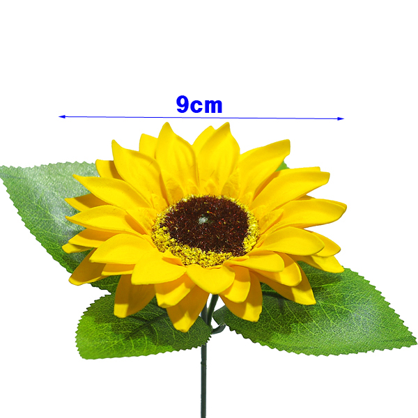 IMGP5328-11.jpg