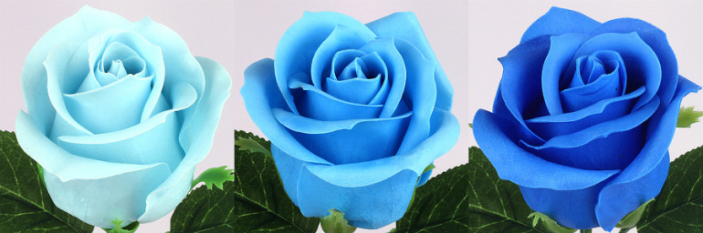 22 ���ϴ�-1.jpg