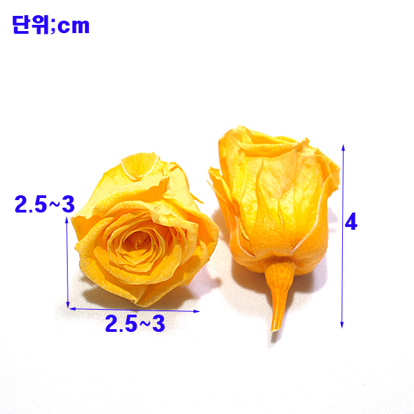 IMGP5746-11.jpg