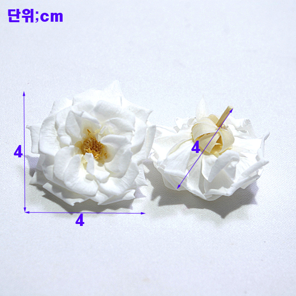 IMGP5950-11.jpg