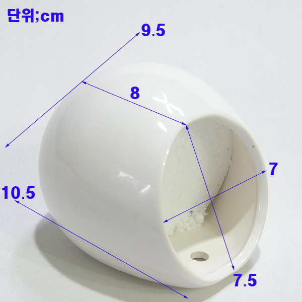 IMGP6274-11.jpg