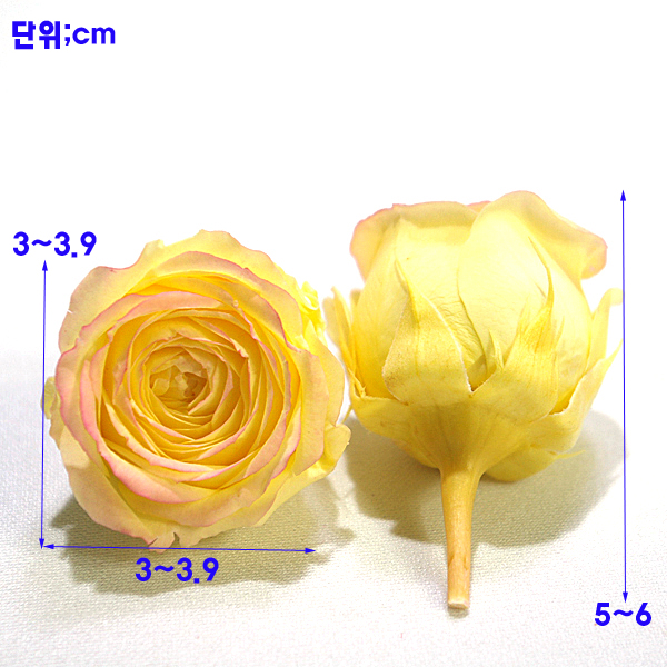 IMGP7198-11.jpg