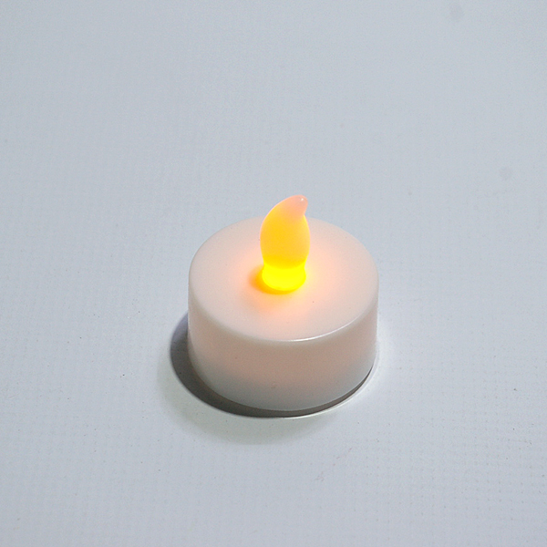 IMGP7464-1.jpg