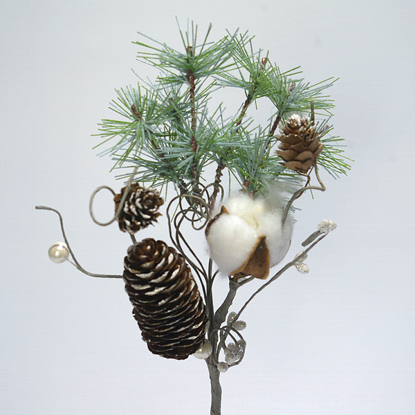 IMGP7442-1.jpg