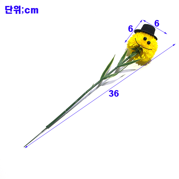 IMGP7257-11.jpg