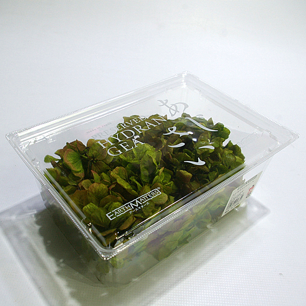 IMGP7625-1.jpg