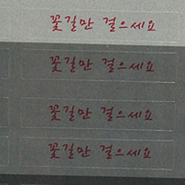 IMGP7675-2.jpg