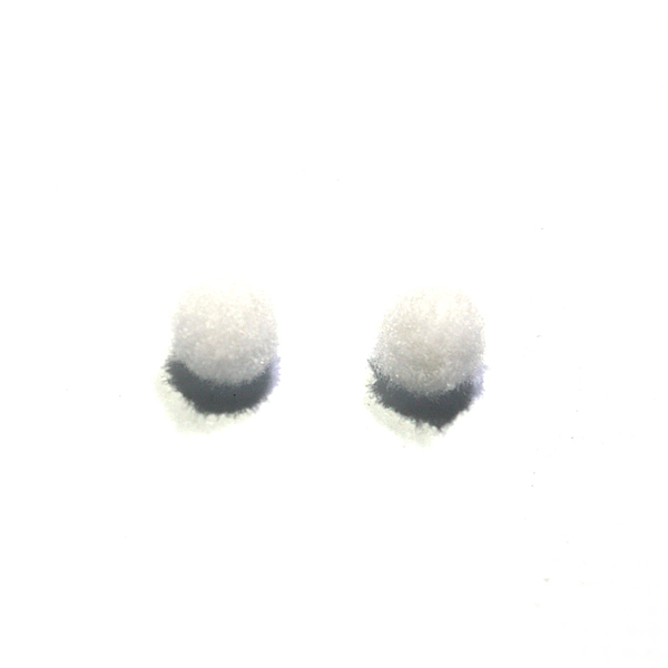 IMGP7756-1.jpg