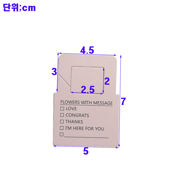 IMGP8408-11.jpg