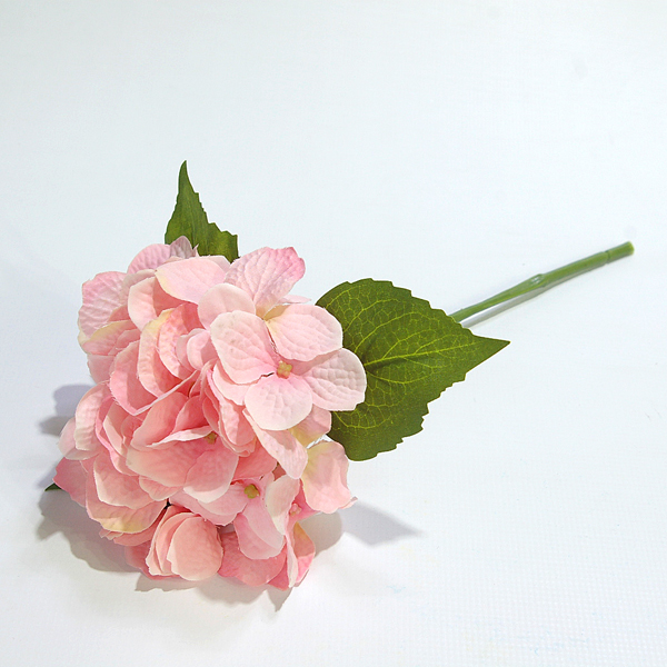 IMGP8501-1.jpg