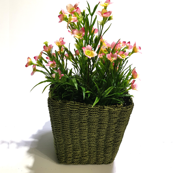 20190325_223535-1.jpg