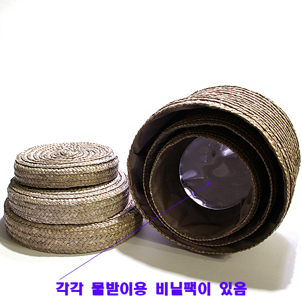 IMGP9037-11.jpg