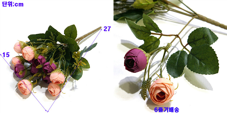 IMGP9124-15.jpg