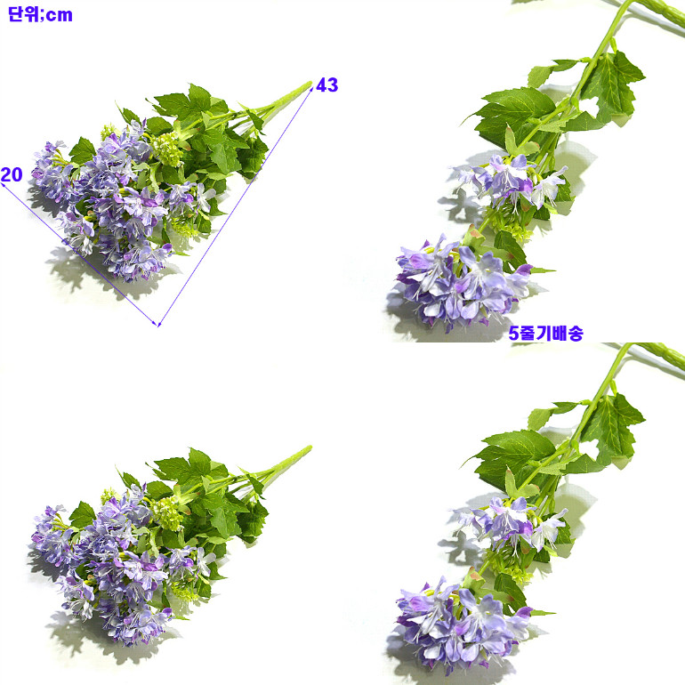 IMGP9170-15.jpg