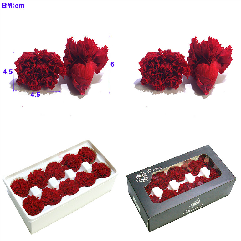 IMGP9244-15.jpg