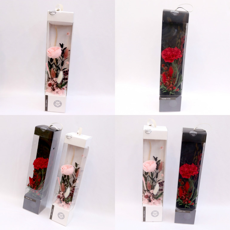 IMG_6669-15.jpg